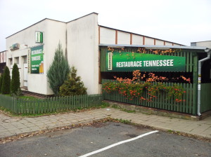 tenesa